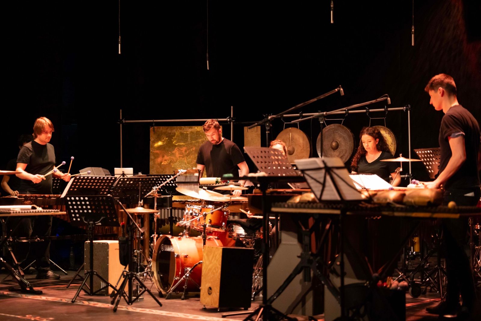 Players at marimbas, drums and gongs in warm stage light